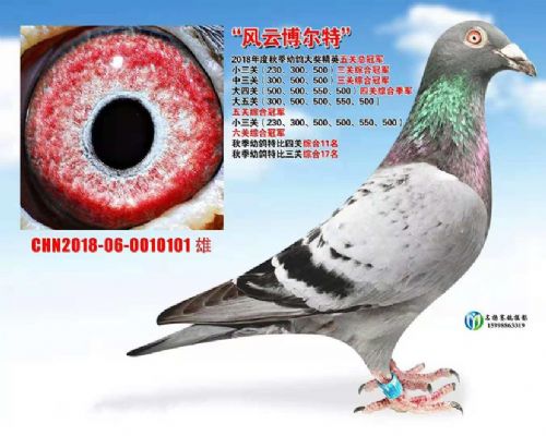 ���ظ����ھ� �Ĺظ������� ��ظ����ھ� ���ظ����ھ�