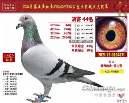 Ҽ�۹������44��