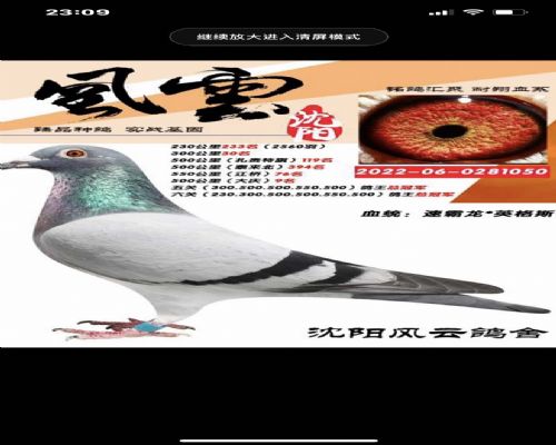 �������Ƹ�����ظ����ھ� ���ظ����ھ� ͬ�ѻ����ظ����Ǿ� ���ظ����Ǿ�