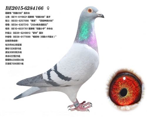 ��ĸ����166