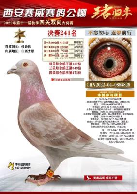 ����241��