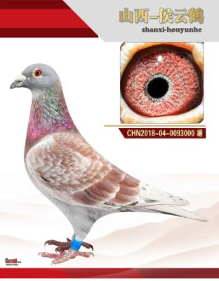 ��һ����