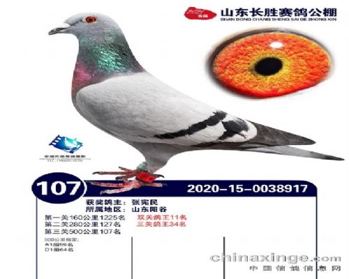 2020��ʤ����