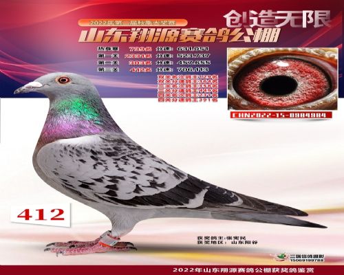 2022��Դ����