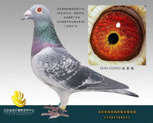 2018���蹫��