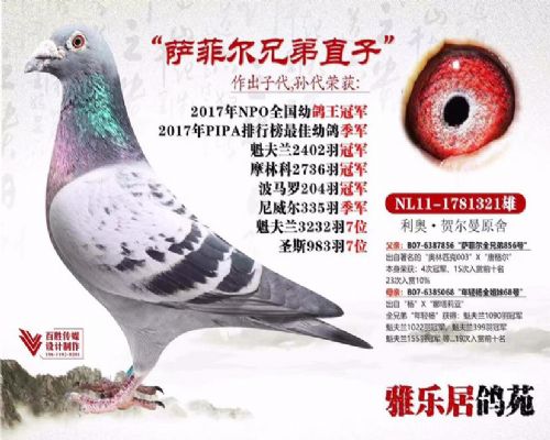 ���ƶ��ֵ�ֱ��