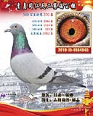 �ൺͬ���칤����370��