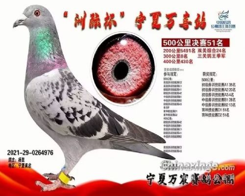 ����003��ĸ��ֱŮ
