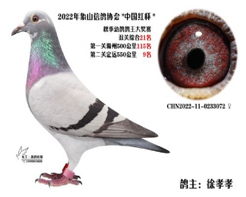 2022���������زж����ۺ�21��