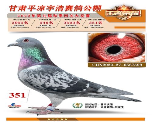 ƽ����ƾ���351��