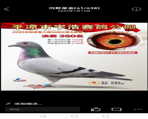 ƽ�����350��