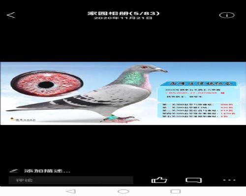 550����4��