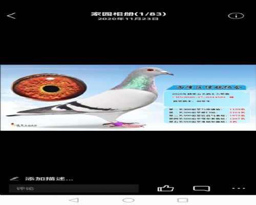 550����3��