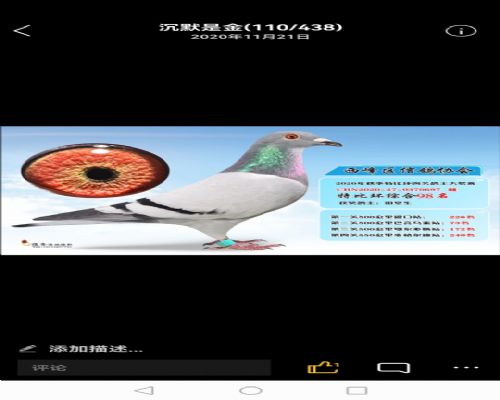 �رȻ��ۺ�98��