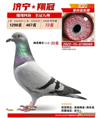 ����*����