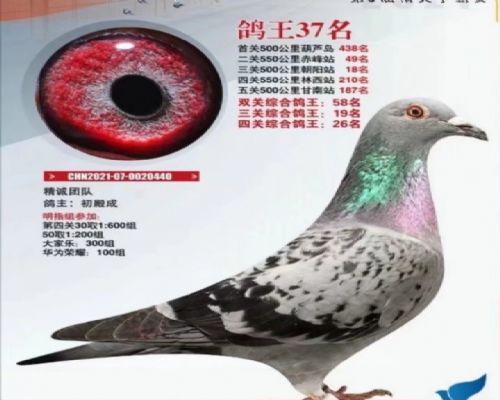 �����ִ�