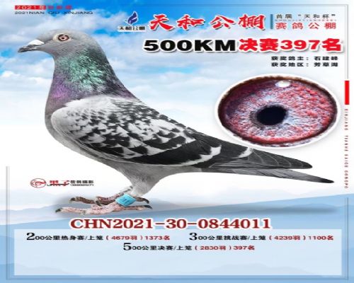 �����ִ�