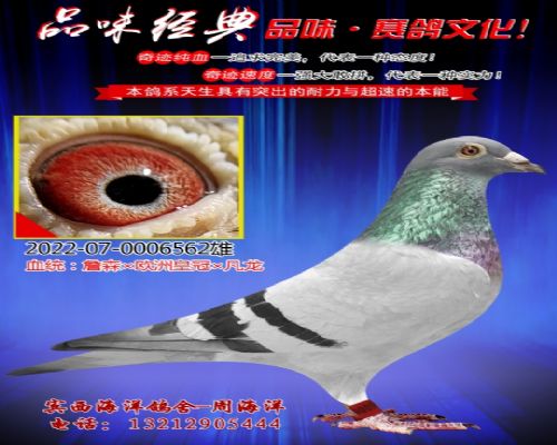 ղɭ��ŷ�޻ʹ�