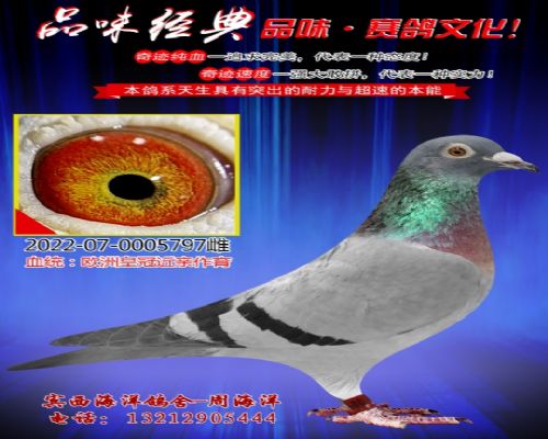 ŷ�޻ʹڽ���