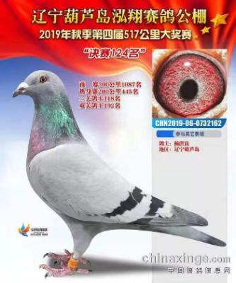 ���ݿ�