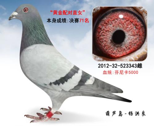 ���ݿ�