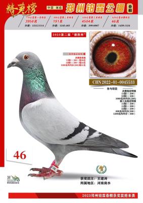 ���ع���46