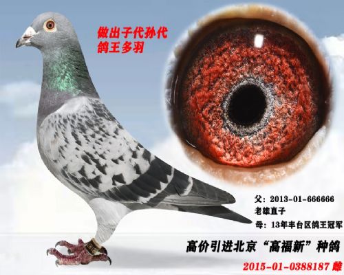 �߸��¹��Ⱥ�