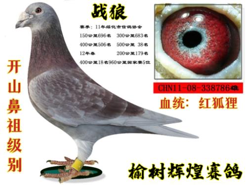 ��ɽ��������