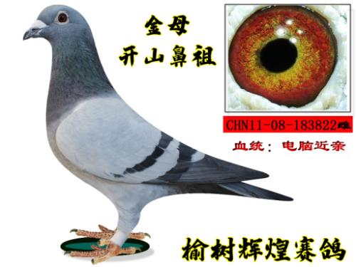 ��ɽ�����ִ�