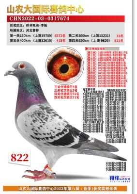3333