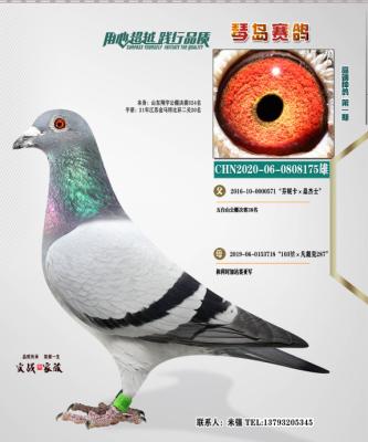175̖