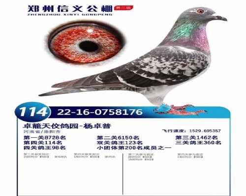 ֣�����幫�����114���񽱸�