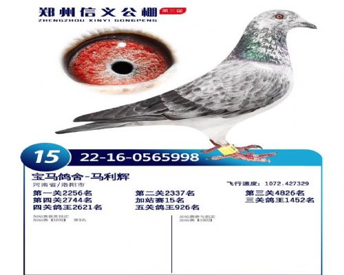 ֣�����幫���վ��15��