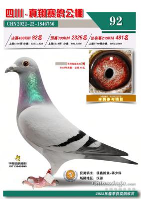 ���蹫�����92��