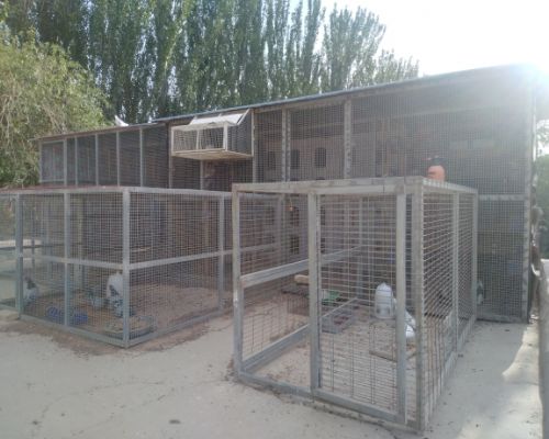 �����ⲿ��Ƭ