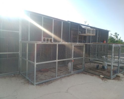 �����ⲿ��Ƭ