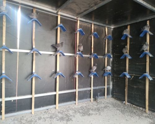 �����ڲ���Ƭ