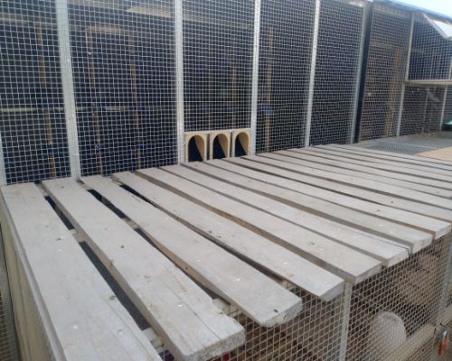 �����ⲿ��Ƭ