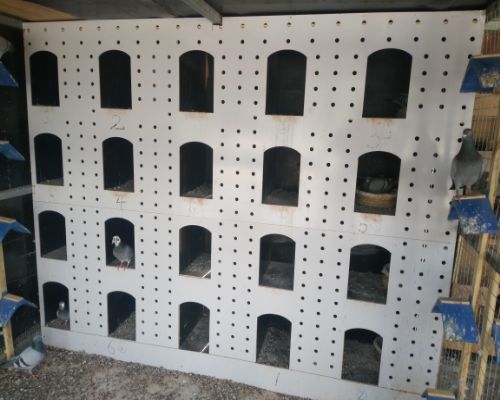 �ָ����ڲ���Ƭ