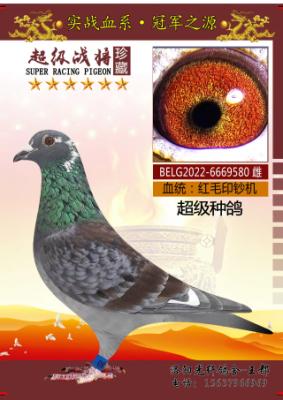ӡ���������ָ�