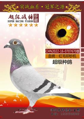 ӡ���������ָ�
