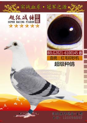 ӡ���������ָ�
