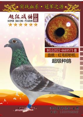ӡ���������ָ�