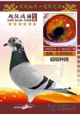 ���籭52������