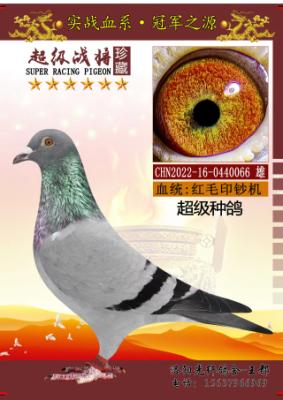 ӡ���������ָ�
