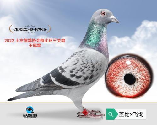 ���ظ����ھ�