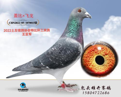 ���ظ����Ǿ�