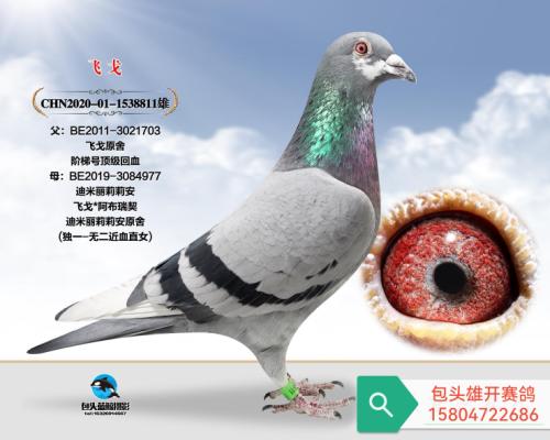 ���� �ɸ�