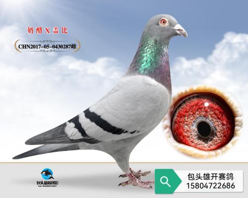 ���� ���Ǳ�