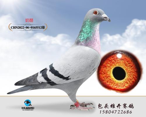 ������ ����710  Ѫϵ